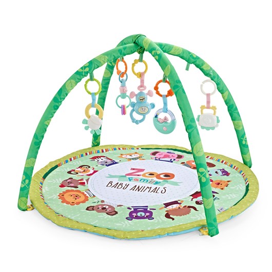 אוניברסיטה חיות