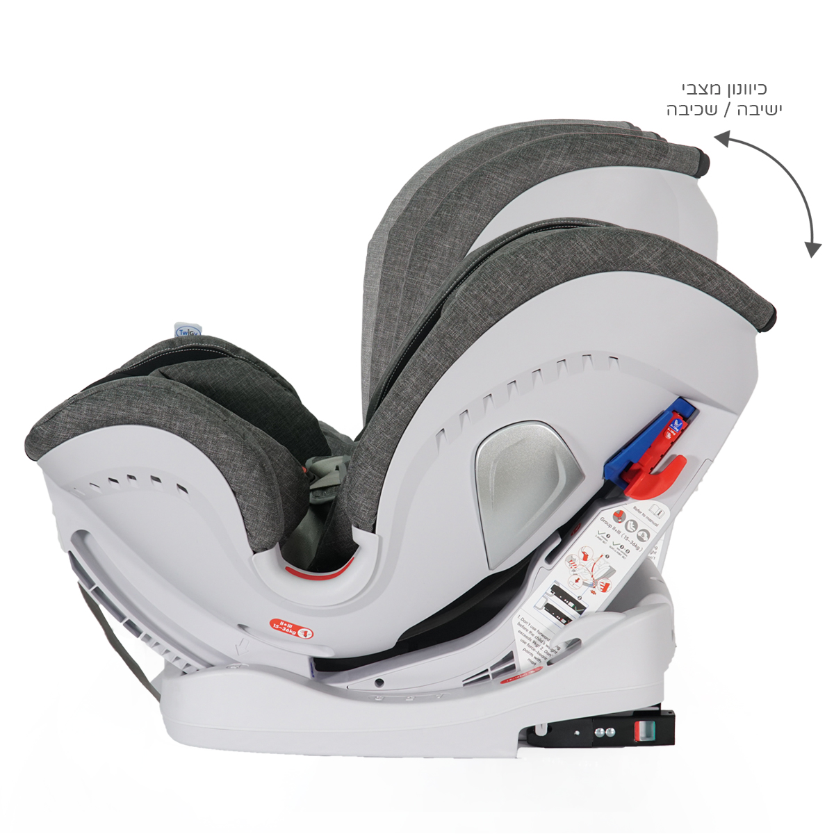 פניקס מצבים