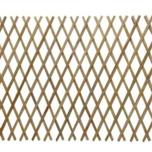 שער קונצטרינה