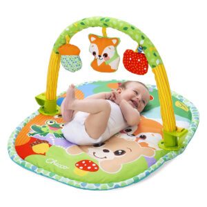 אוניברסיטה ג'ים