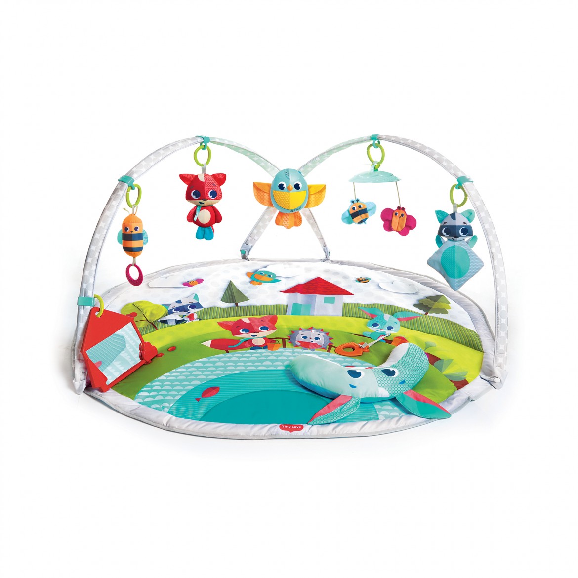 אוניברסיטה דינאמי