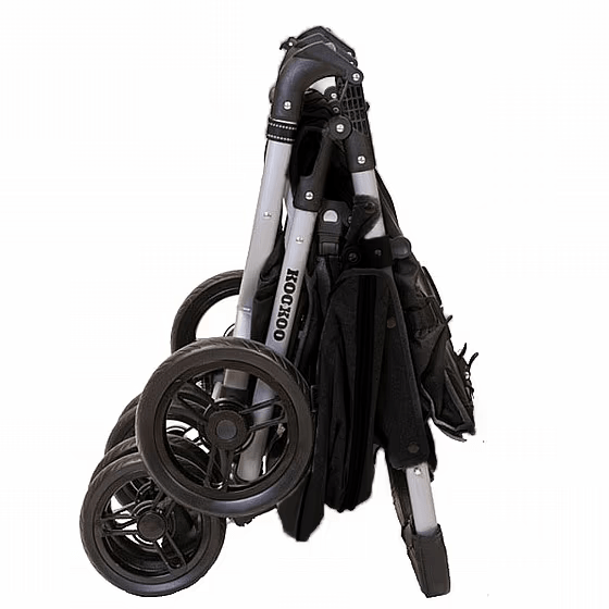 ביבה תאומים – תמונה 3