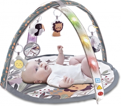 אוניברסיטה אורות