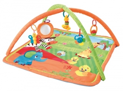 אוניברסיטה כתומה