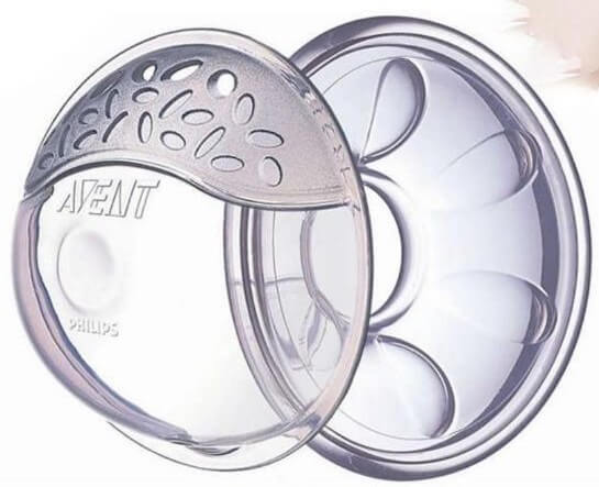 קונכיות אוונט