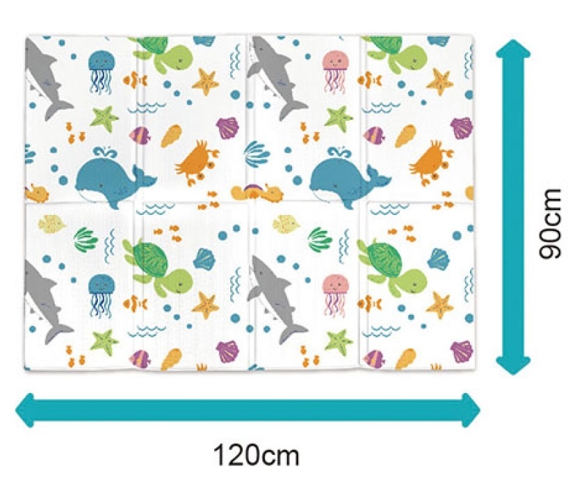 גודל משטח פעילות