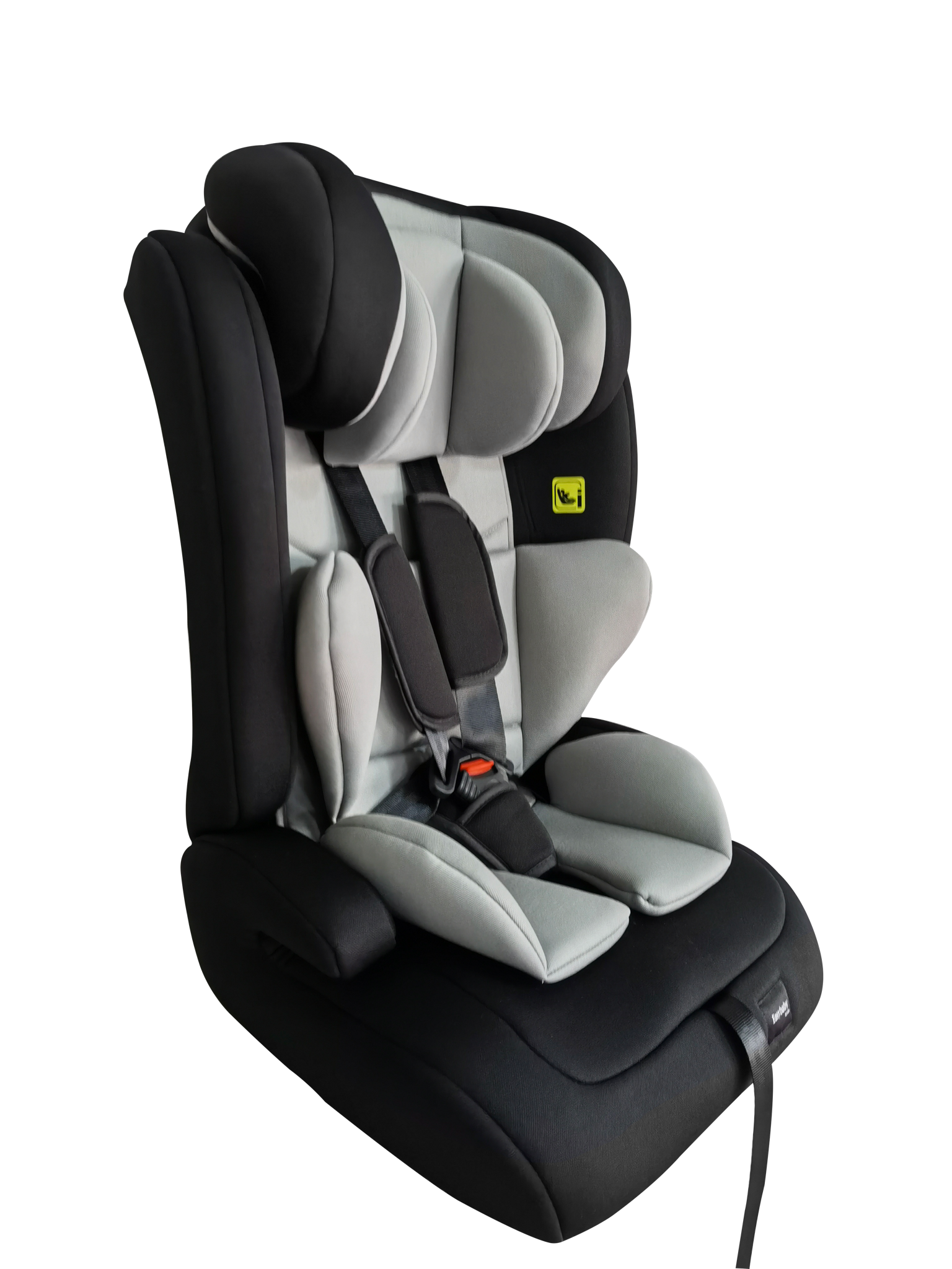 בוסטר גב עם חגורות