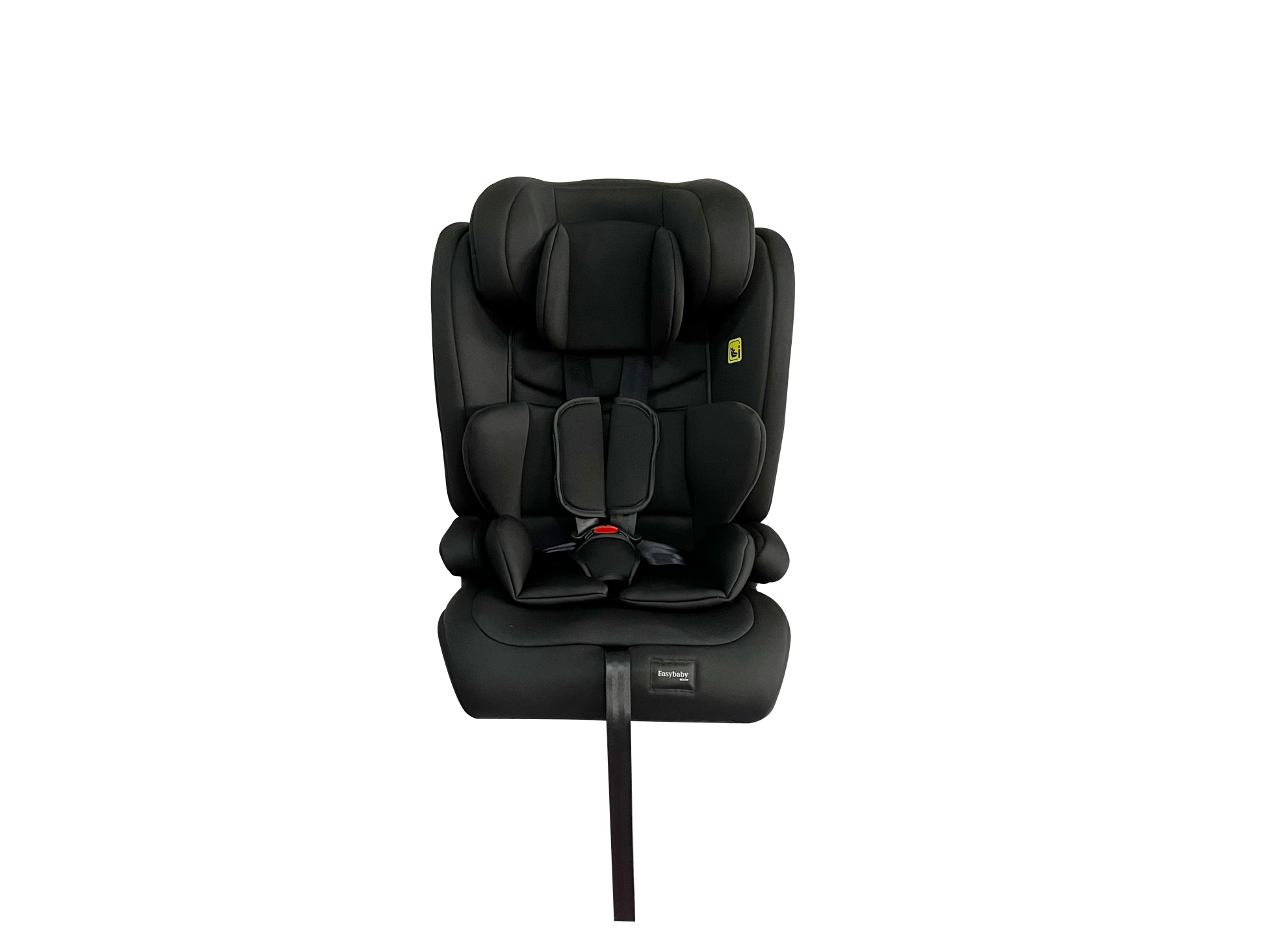 בוסטר גב עם חגורות