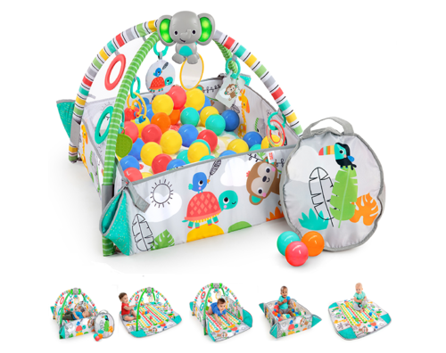 אוניברסיטה ברייט סטארטס