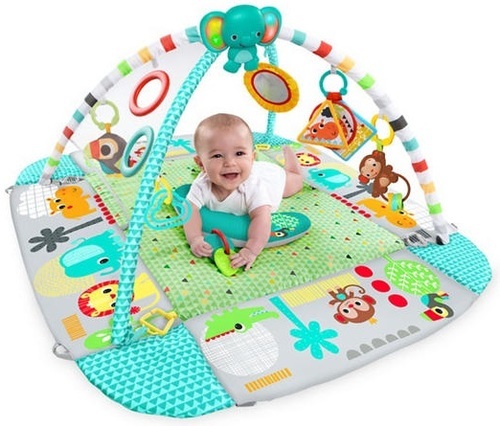 אוניברסיטה כדורים ברייט סטארטס – תמונה 4